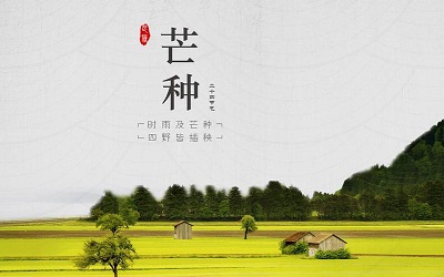 2020芒种出生的人命运，芒种前三天交运是三天还是一天？ 