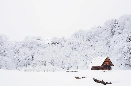 命运分析,2020年大雪前后适合出殡吉日推荐,12月7日是什么日子？ 