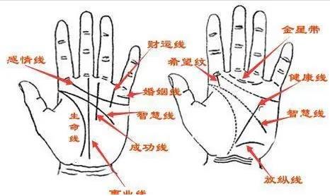 断掌为什么不能告诉别人（断掌的女人命运怎样） 