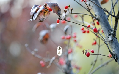 真人算命大师在线算命,2020年正月二十六雨水节气适合出殡吗？ 