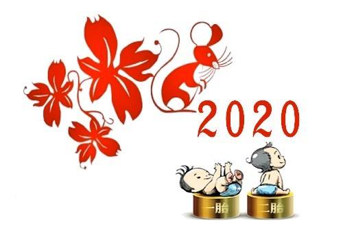 2020年出生的人是什么命 