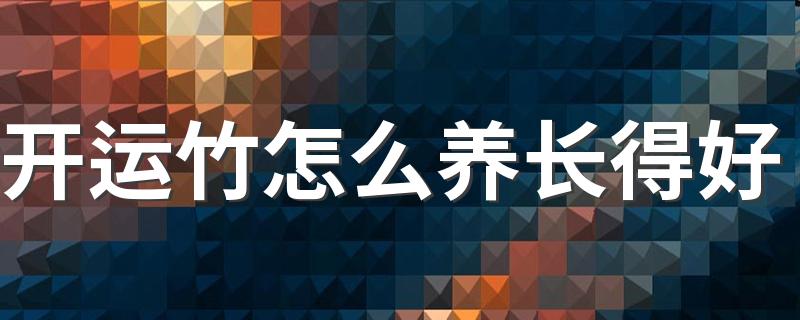 开运竹怎么养长得好 开运竹放在家里什么位置好