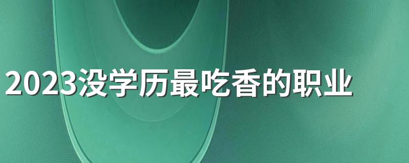 2023没学历最吃香的职业 前景好的工作有哪些