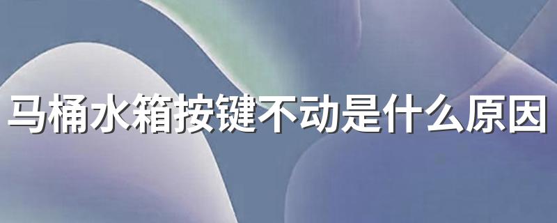 马桶水箱按键不动是什么原因 马桶按钮不回弹怎么修