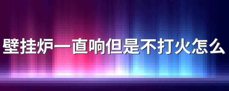 壁挂炉一直响但是不打火怎么回事 壁挂炉一直响但是不打火解决方法