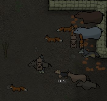 Rimworld环世界1.3版本兽王流心得 动物选择推荐