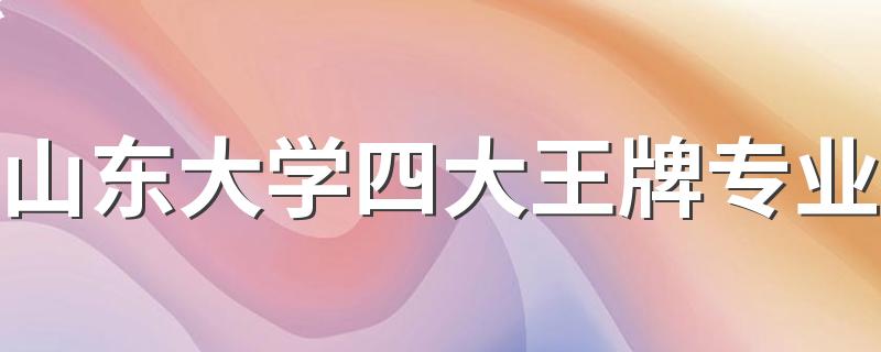 山东大学四大王牌专业