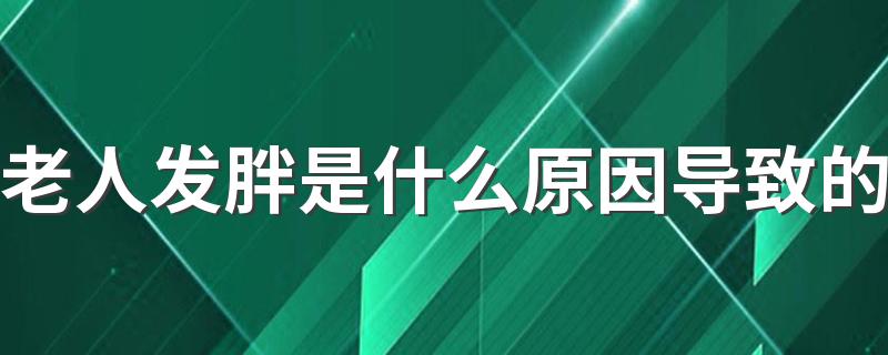 老人发胖是什么原因导致的 注意这4个因素！