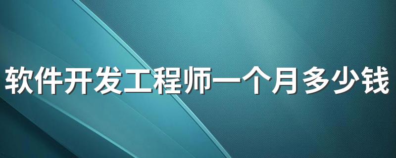 软件开发工程师一个月多少钱 工资待遇好吗