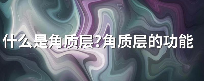 什么是角质层?角质层的功能是什么?