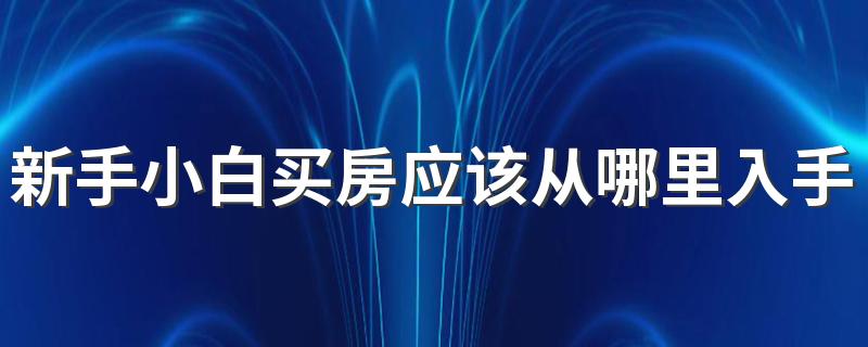 新手小白买房应该从哪里入手 新手买房需要问什么问题