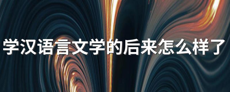 学汉语言文学的后来怎么样了 能做什么工作