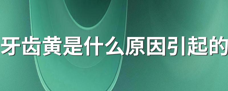 牙齿黄是什么原因引起的 牙齿黄怎么变白