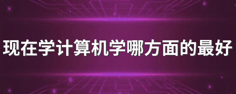 现在学计算机学哪方面的最好 什么专业吃香