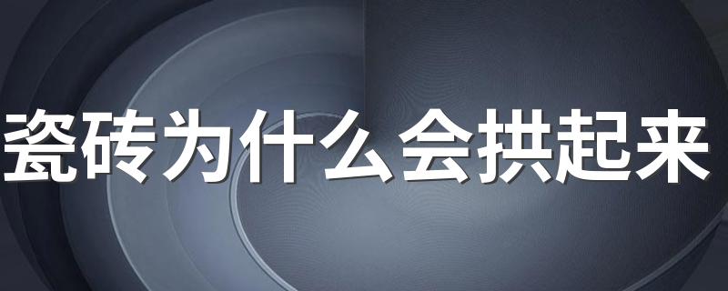 瓷砖为什么会拱起来 瓷砖拱起来能不能压下去