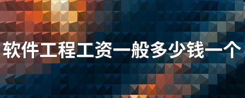 软件工程工资一般多少钱一个月 工资高不高