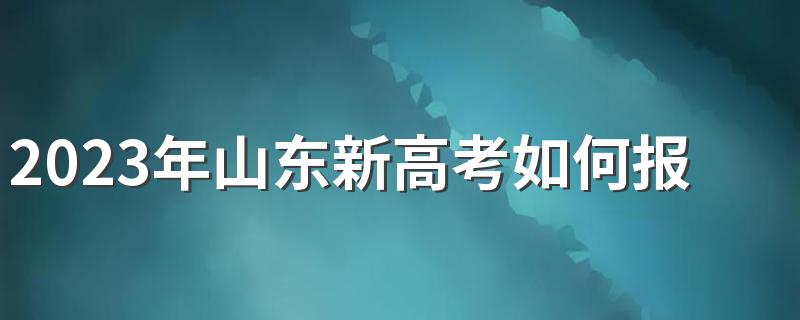 2023年山东新高考如何报考专业 报什么专业好