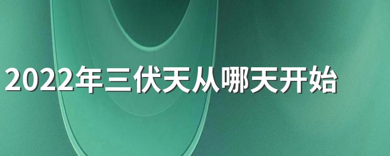 2022年三伏天从哪天开始到哪天结束 三伏天高温装修要注意什么