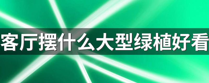 客厅摆什么大型绿植好看 客厅最好养的大型绿植