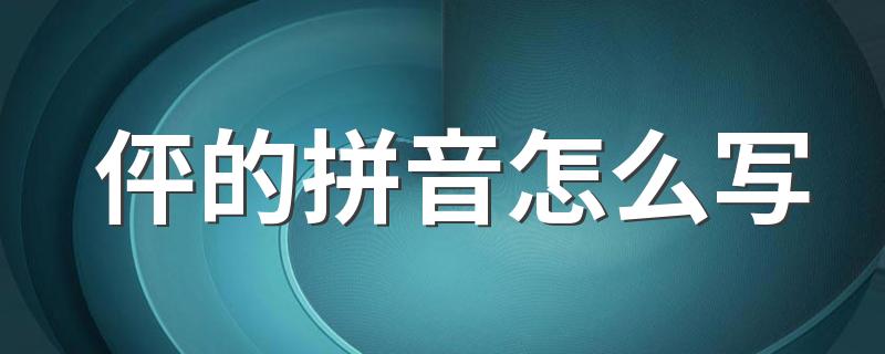 伻的拼音怎么写 伻的解释是什么