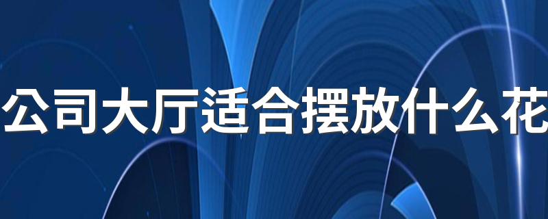 公司大厅适合摆放什么花 办公室摆放花卉有什么讲究