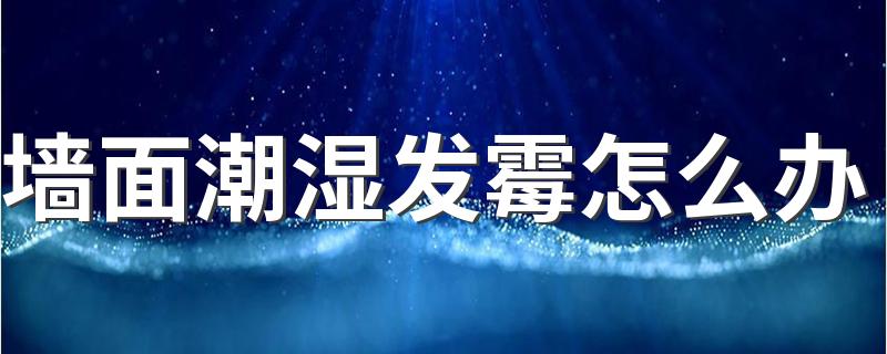 墙面潮湿发霉怎么办 墙体潮湿发霉怎么处理方法