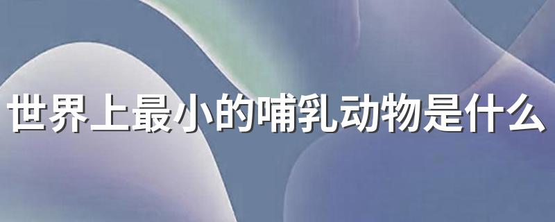 世界上最小的哺乳动物是什么