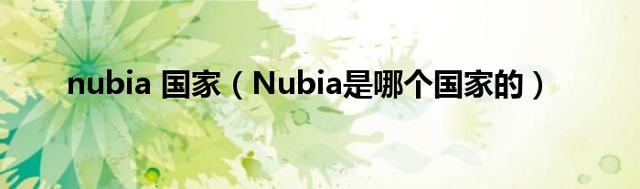 nubia 国家（Nubia是哪个国家的）