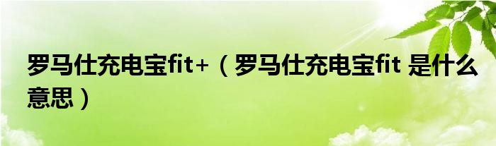 罗马仕充电宝fit+（罗马仕充电宝fit 是什么意思）