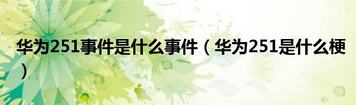 华为251事件是什么事件（华为251是什么梗）