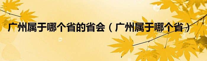 广州属于哪个省的省会（广州属于哪个省）