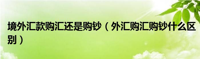 境外汇款购汇还是购钞（外汇购汇购钞什么区别）