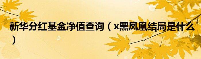 新华分红基金净值查询（x黑凤凰结局是什么）