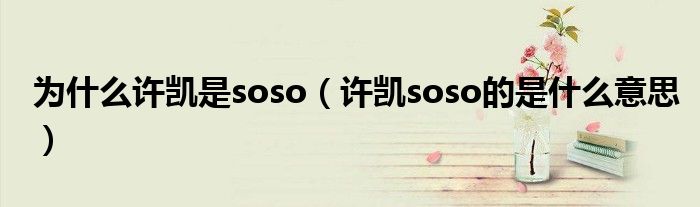 为什么许凯是soso（许凯soso的是什么意思）