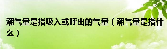 潮气量是指吸入或呼出的气量（潮气量是指什么）