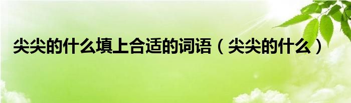 尖尖的什么填上合适的词语（尖尖的什么）