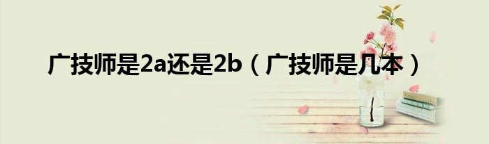 广技师是2a还是2b（广技师是几本）