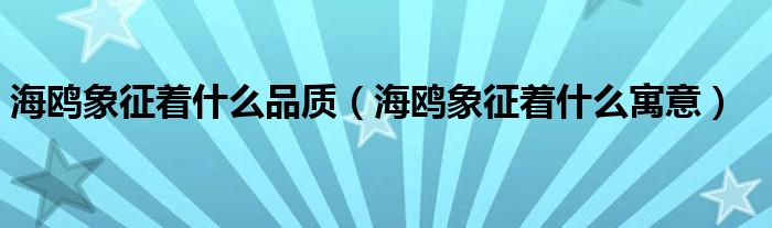 海鸥象征着什么品质（海鸥象征着什么寓意）