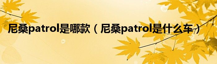 尼桑patrol是哪款（尼桑patrol是什么车）