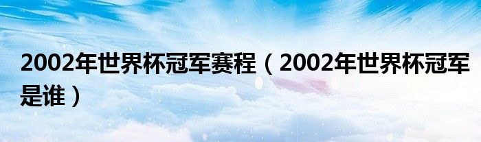 2002年世界杯冠军赛程（2002年世界杯冠军是谁）