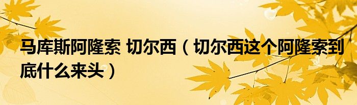 马库斯阿隆索 切尔西（切尔西这个阿隆索到底什么来头）