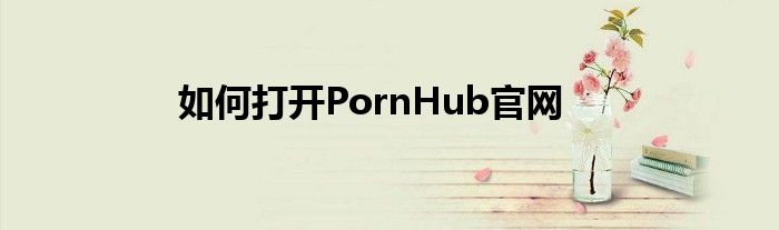 如何打开PornHub官网