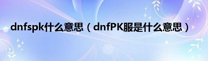 dnfspk什么意思（dnfPK服是什么意思）