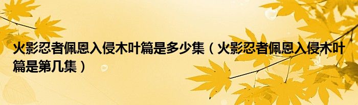 火影忍者佩恩入侵木叶篇是多少集（火影忍者佩恩入侵木叶篇是第几集）