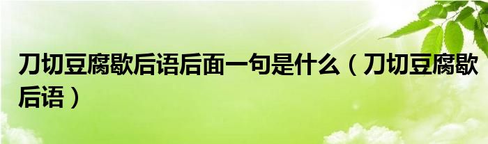 刀切豆腐歇后语后面一句是什么（刀切豆腐歇后语）