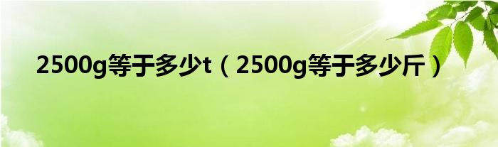 2500g等于多少t（2500g等于多少斤）