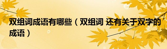 双组词成语有哪些（双组词 还有关于双字的成语）