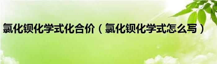 氯化钡化学式化合价（氯化钡化学式怎么写）