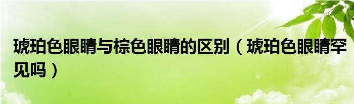 琥珀色眼睛与棕色眼睛的区别（琥珀色眼睛罕见吗）