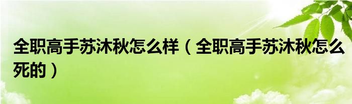 全职高手苏沐秋怎么样（全职高手苏沐秋怎么死的）